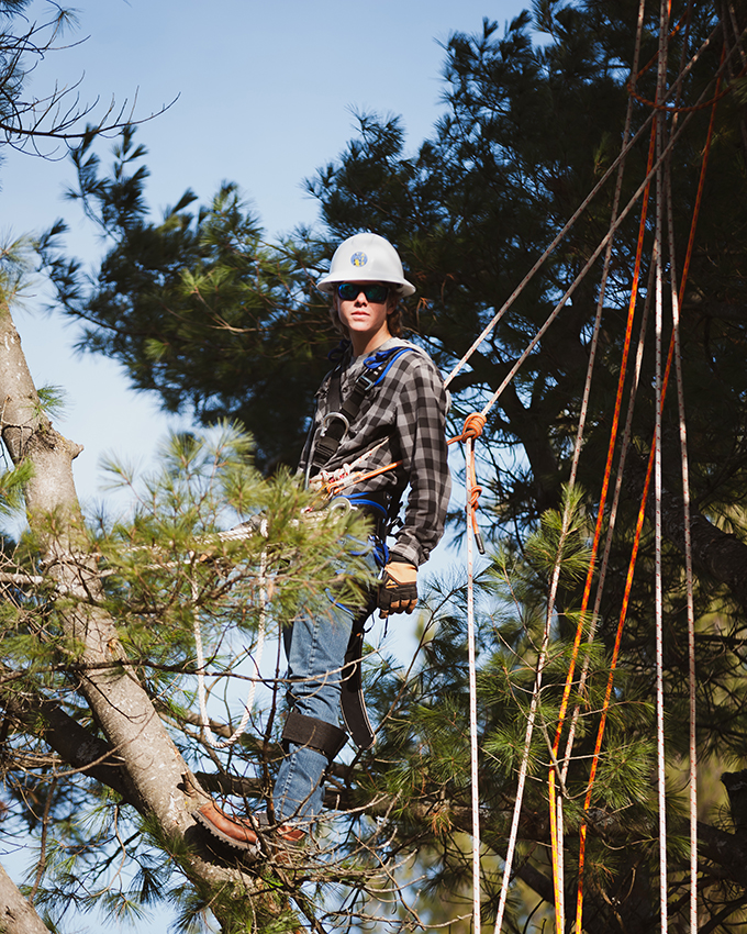 A student stands in a tree while hooked up to a number of ropes and pulleys